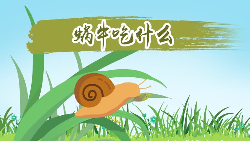 蜗牛吃什么 蜗牛怎么养 天奇生活