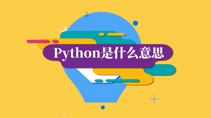 python是什么意思 python是的含义