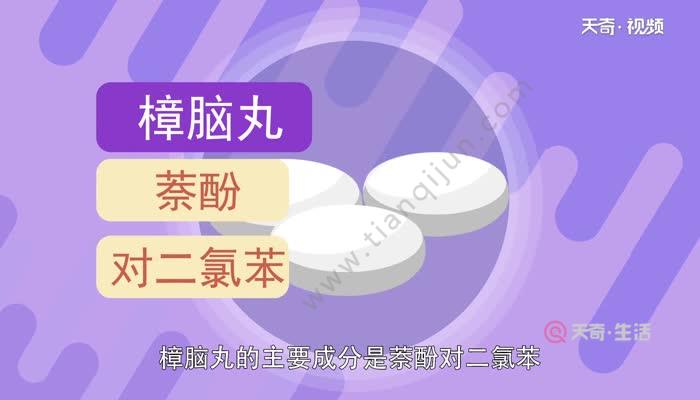 樟腦丸的主要成分是萘酚,對二氯苯,既有強烈的揮發性,又有一定毒性.