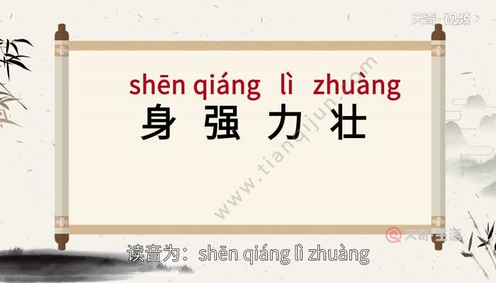 身强力壮的意思 身强力壮的出处