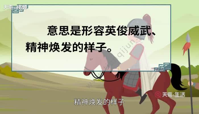 英姿飒爽的意思 英姿飒爽的出处