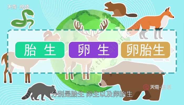 动物自然繁殖大全1_标清 动物自然繁殖大全1_标清秦腔断断桥zh妻恩情山海重