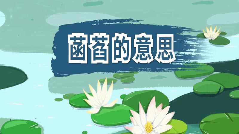 菡萏的拼音图片