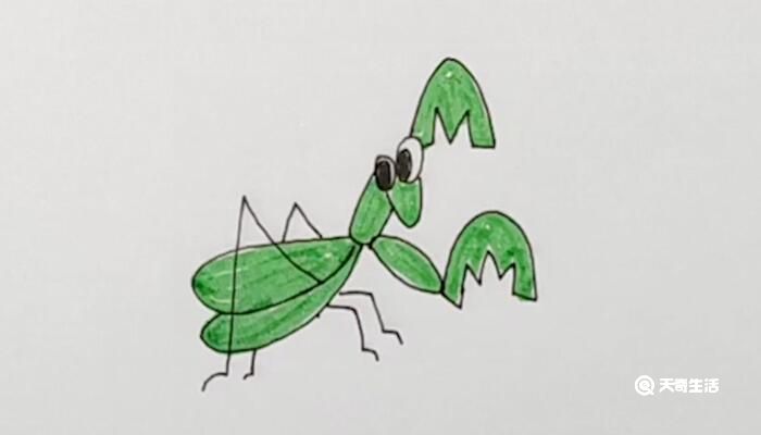 螳螂儿童画 简单图片