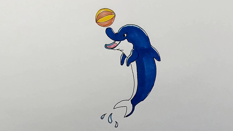 海豚顶球简笔画图片