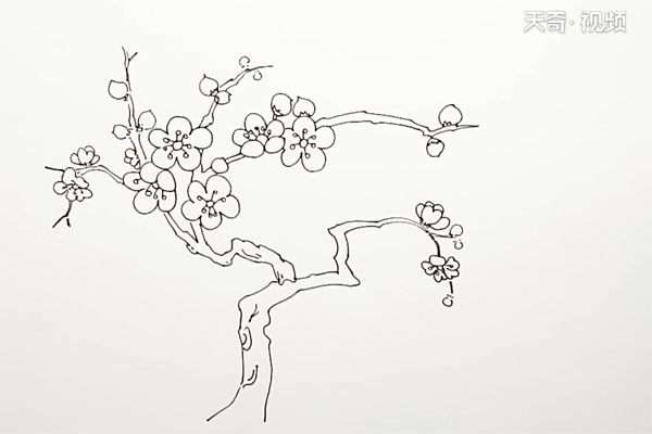 素描桃树图片简笔画图片