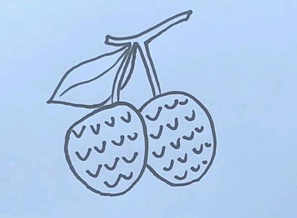 荔枝的简笔画法图片