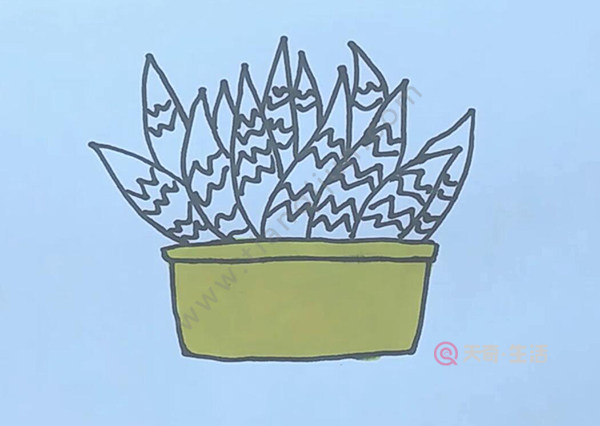 芦荟简笔画