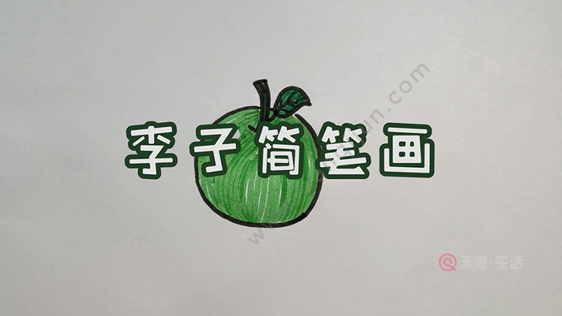 水果简笔画李子图片