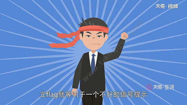 flag是什麼意思