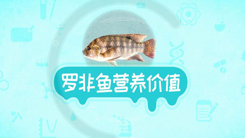 羅非魚營養價值